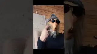 kiedy musisz spłacić chwilówke
