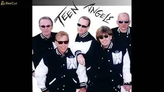 I Got a Boner For You  -- The Teen Angels