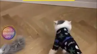 Боец