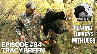 Podcast Short Episode 84: Tracy Breen- An Unconventional Use For Traditional(ISH) Bird Dogs