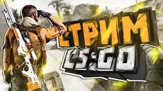 Стрим кс го игра с подписчиками cs go