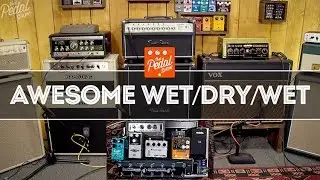 Awesome Wet/Dry/Wet: 3 Amps, Space Echo, Echorec, CE-1 & More – That Pedal Show