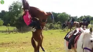 Le cheval à la John Sina