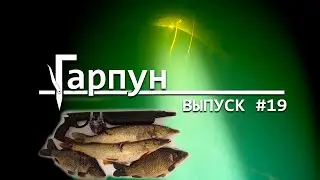 Гарпун Выпуск #19 Подводная охота ночью в ноябре