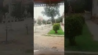 ផ្កាពេញដោយសម្រស់