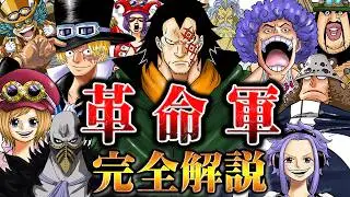 【完全解説】ドラゴン率いる自由と解放の組織「革命軍」の全貌！結成からこれまで、構成員の素性などを徹底網羅！
