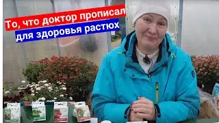 Никакой химии для растений! БИО защита от болезней в комплекте: Глиокладин+Алирин+Трихоцин +Гамаир