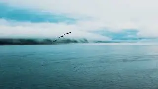 Сибирь. Аэросъемка с дрона