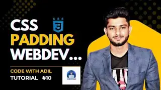 CSS Padding tutorial | Complete CSS Padding Tutorial (2025)