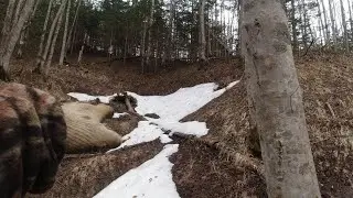 Здесь ещё есть ,за чем приехал, только где спрятали нужно отыскать Продолжение