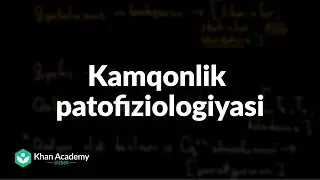 Kamqonlik patofiziologiyasi | Anemiya | Tibbiyot