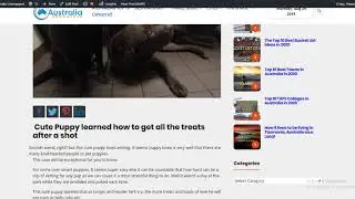 Puppy Learned How To Get Treats