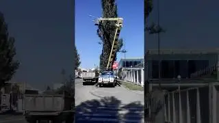 Кронирование+обрезка деревьев (098) 087 77 78