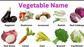 Learn the name of vegetables Vegetable Name in English | Basic English Learning 2024
