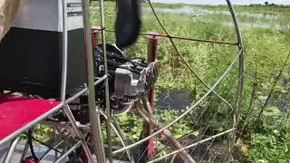 Fly fishing for Mullet with Flip Pallot