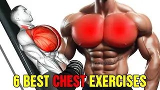 The Most Effective Exercises for HUGE Chest