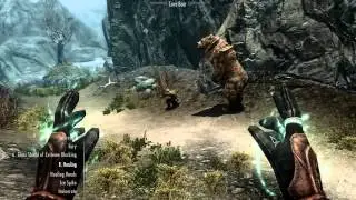 TESV - Boy handles a bear