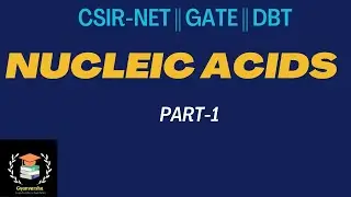 NUCLEIC ACIDS || NUCLEOTIDES || NITROGENOUS BASES || PURINE AND PYRIMIDINE || BIOCHEMISTRY || GATE