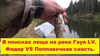 В поиках леща на реке Гауя. Фидер VS Поплавок. Какая снасть лучше? Meklējam brekšus Gaujā.