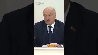 Возят все, кто хотят, бомбят с утра до вечера! Лукашенко о безопасности пассажирских перевозок