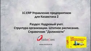 Урок №31. Кадровый учет. Справочник 