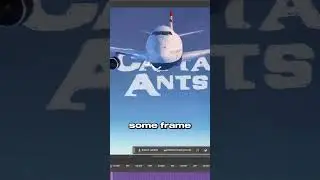 Creating AntsLive Spotify Canvas