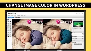 How to change Image Color in WordPress using the WP Paint Pro