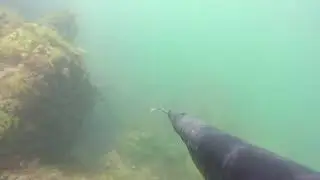 Каспий..Кефаль.15.09.2020.