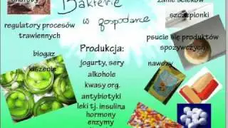 Bakterie dokola nas