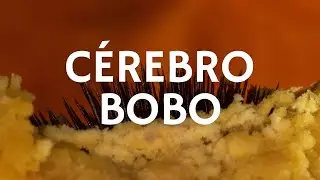 Carne Doce - Cérebro Bobo