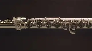 Флейта Tomasi serie 09-L-GR-B3105 от ателье Доценко и Ко.