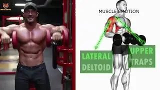 Upright row muscles worked #shorts
