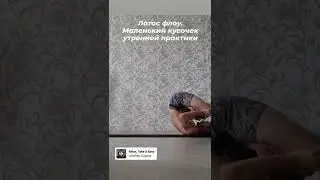 Лотос флоу. Кусочек утренней практики.