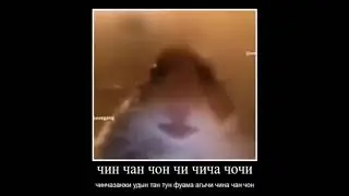 чин чан чон чи чича чочи
