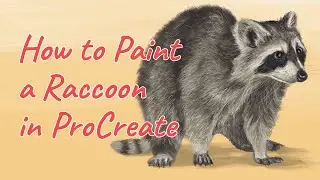 How to paint a Raccoon || Animal illustration in Procreate