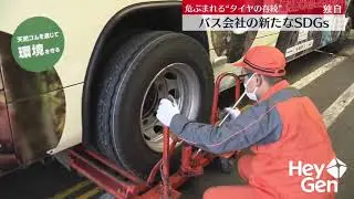 Project Tree at Japanese Bus Company