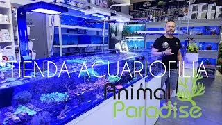 TIENDA ACUARIOFILIA ANIMAL PARADISE