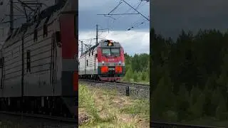 Лето! 2ЭС5К-355 пролетает станцию Кодино