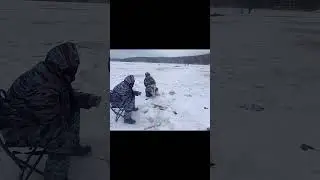 Ребенок учит ловить рыбу старых рыбаков. помощь рыбакам 