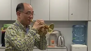 CarolBrass CPT-3000 Pocket Trumpet