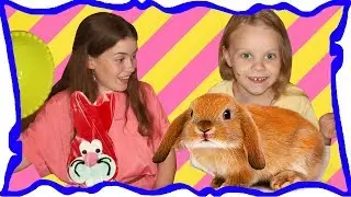 ОБЫЧНАЯ ЕДА против МАРМЕЛАДА Челлендж Real Food VS Marmalade Food Challenge /// Masha PrankShow