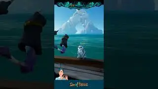 Сова «Букля» 🦉 Sea Of Thieves #Seaofthieves #Мореворов