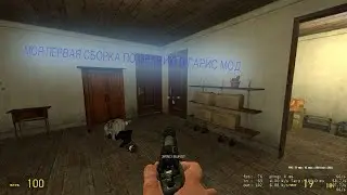Моя первая сборка в GMOD по оружиям COD MW 2019