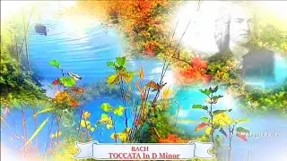 Bach Toccata In D Minor