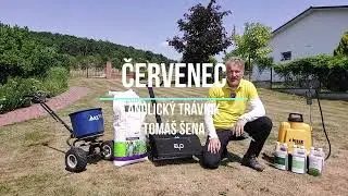 Červenec - anglický trávník | ŠENA