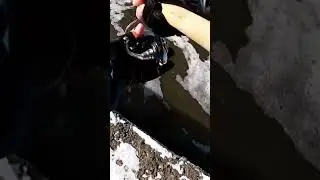 Ловля Язя на кренки. Зимняя рыбалка. Язь. 