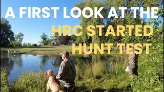 A FIRST LOOK AT THE HRC STARTED HUNTING RETRIEVER TEST