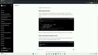how to check the character count of a file in python