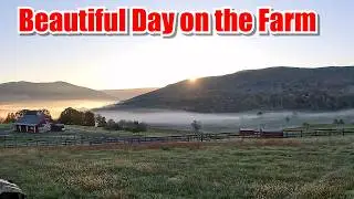 Lot's happening on the Farm This week!