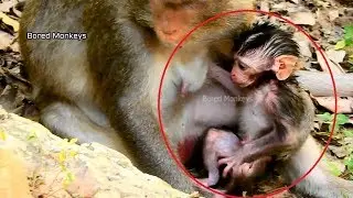 Poor newborn baby Viola so itchy after mom eat&drop mango juice make she wet,Viola look weakness